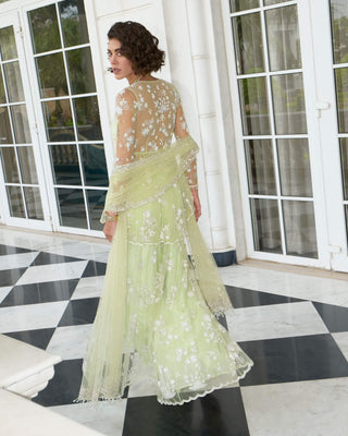 Lime green net peplum and sharara set