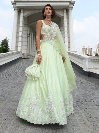 Green raw silk lehenga set