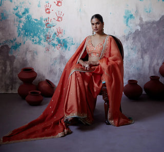 Rust orange half and half saree with sleeveless blouse