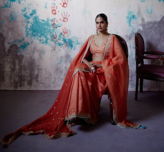 Rust orange half and half saree with sleeveless blouse