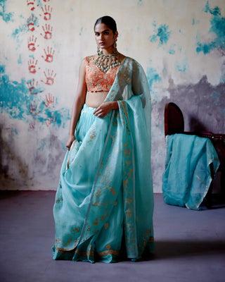 Powder blue brocade lehenga set