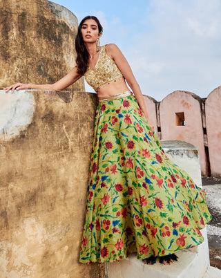 Shanaya green lehenga set