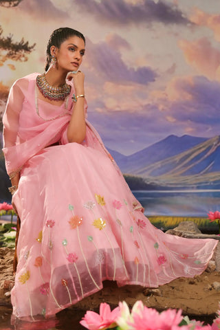 Pink lehenga set