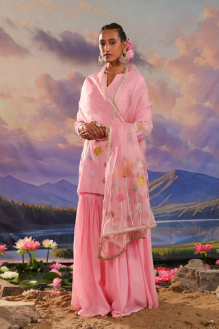 Pink gharara set