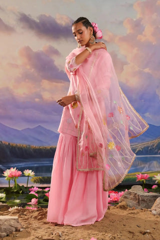 Pink gharara set