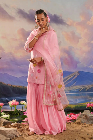 Pink gharara set