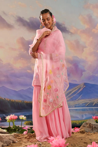 Pink gharara set