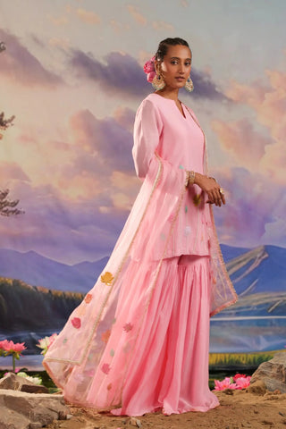 Pink gharara set