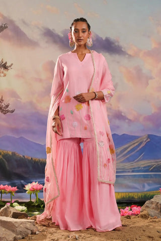 Pink gharara set