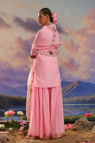 Pink gharara set