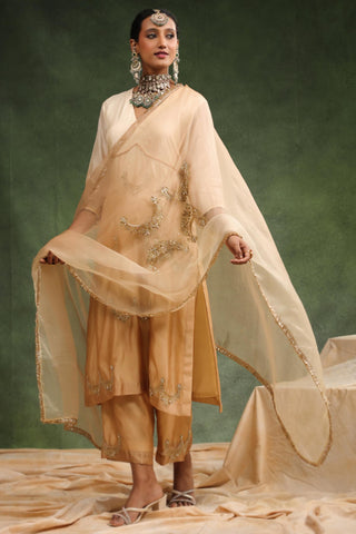 Beige ombre choli cut suit set