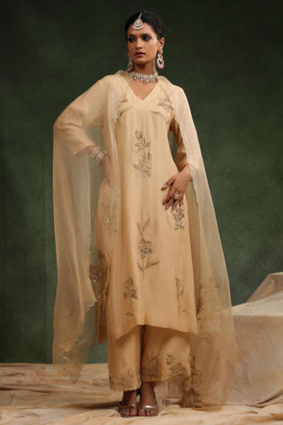 Beige kurta set