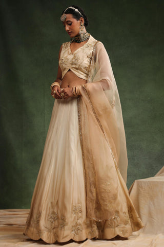 Beige ombre lehenga set