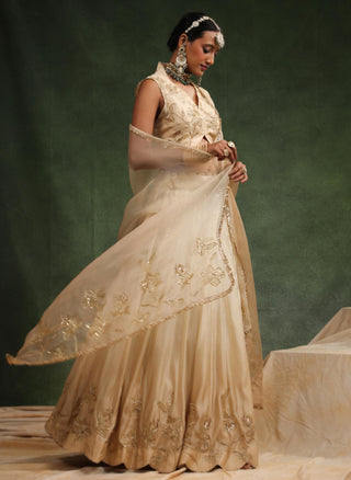 Beige ombre lehenga set