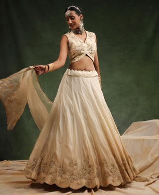 Beige ombre lehenga set