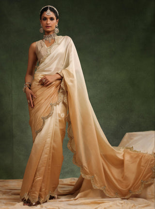 Beige ombre saree