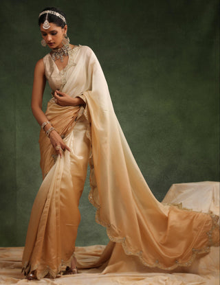 Beige ombre saree