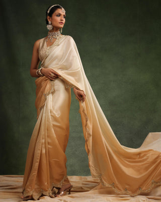 Beige ombre saree