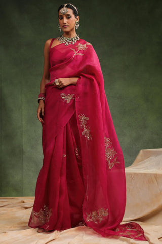 Wine jim jam saree