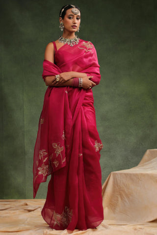 Wine jim jam saree