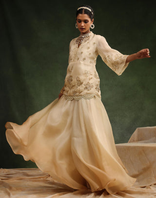 Beige classic sharara set