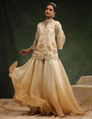 Beige classic sharara set