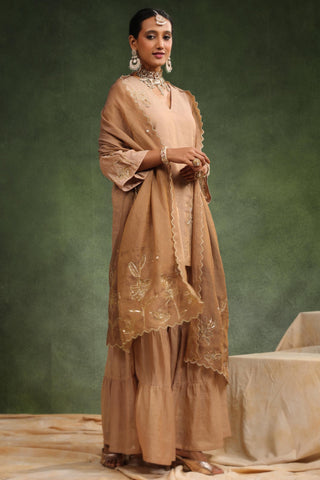 Peachish brown gharara set