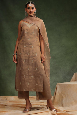 Brown tissue chanderi kurta set