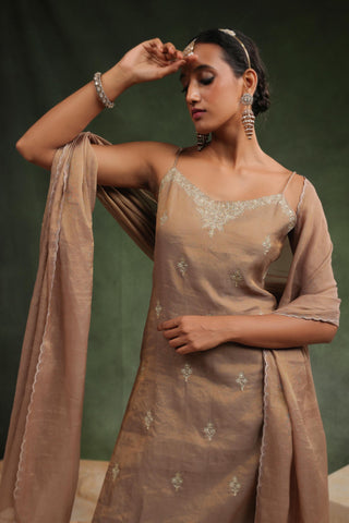 Brown tissue chanderi kurta set