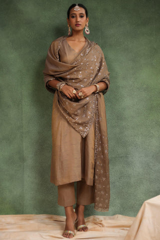 Brown elegant suit set