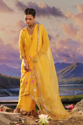 Yellow suit set with floral embroidery