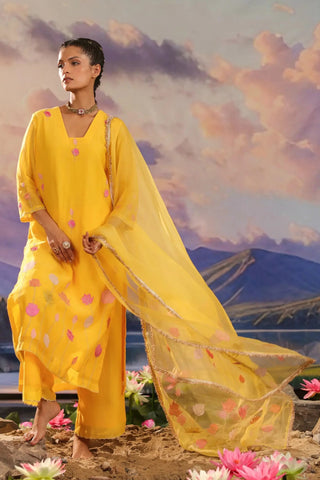 Yellow suit set with floral embroidery