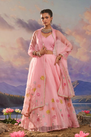 Pink lehenga set