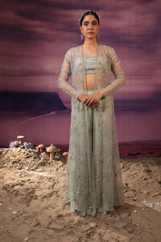 Powder blue sharara set