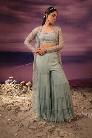 Powder blue sharara set