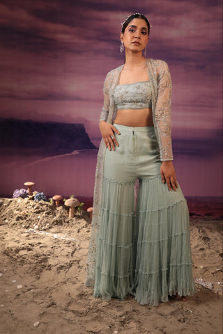 Powder blue sharara set