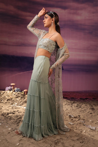 Powder blue sharara set