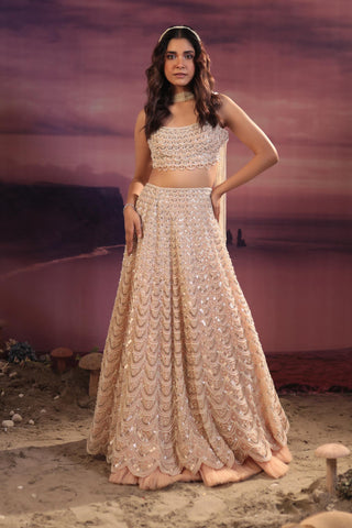 Peach organza lehenga set