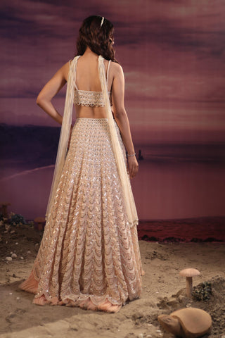 Peach organza lehenga set