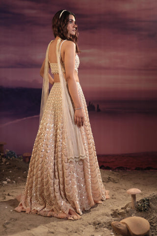 Peach organza lehenga set