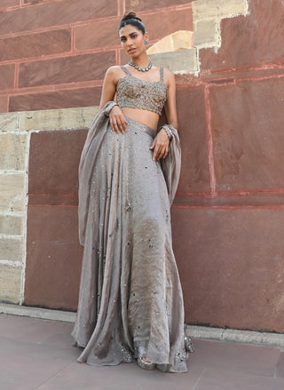 Carina space gray lehenga set