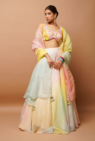 Rainbow hand painted lehenga set