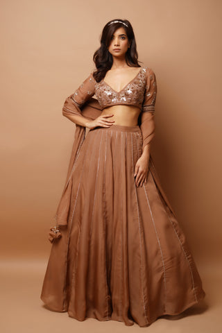 Golden brown lehenga set