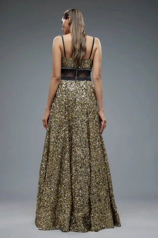 Multicolor net sequence embellished gown