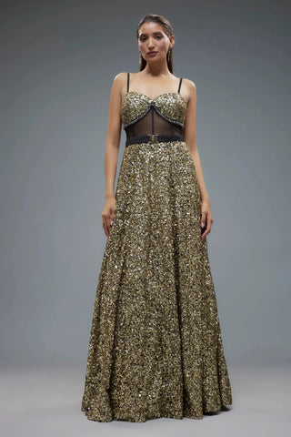 Multicolor net sequence embellished gown