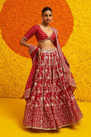 Saiyaara red lehenga set