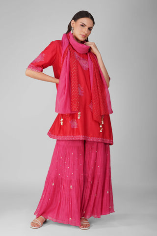 Red magenta starry rose gharara set