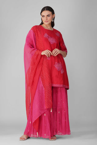 Red magenta starry rose gharara set