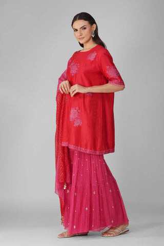 Red magenta starry rose gharara set