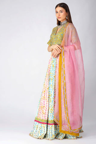 Multicolor leaf print lehenga set